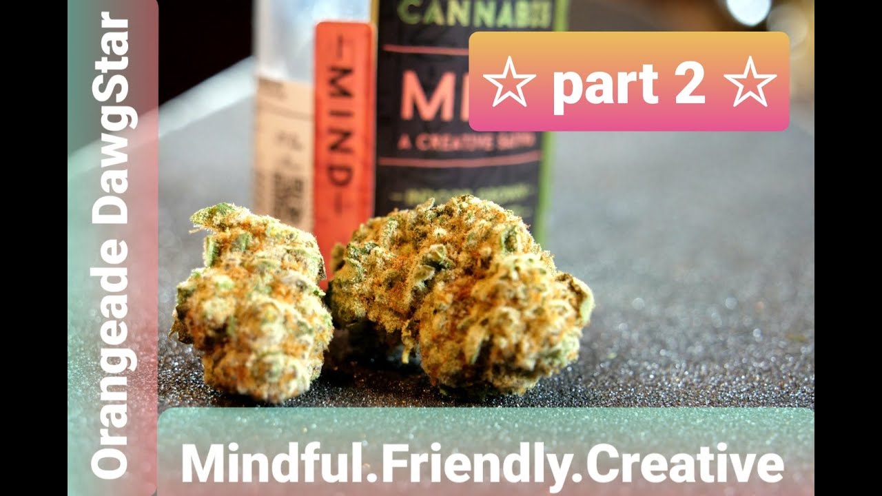 "The 2BB" half Review of Orangeade Dawg Star Cannabis
