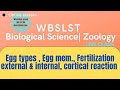 Types of egg, Egg membranes, External &amp; Internal Fertilization, Cortical Reaction || WBSLST zoology