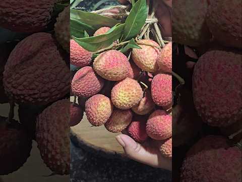 Viral Refreshing Lichi juice at Home ✨️🤗🙌 #shorts #trendingsong #lichijuice