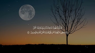 تلاوة هادئة تريح القلب من سورة هود♥للقارئ أيمن ياسر|| ارح سمعك💛