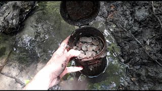 Dreams come true. Treasure in the stream. Metal detecting and relic hunting with metal detector.