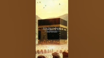 ما شاء الله آيات بينات من الذكر الحكيم بصوت تطمئن له القلوب... #فلسطين