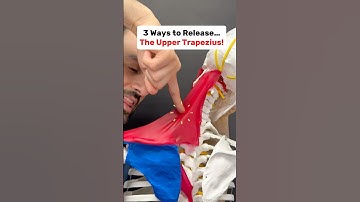3 Ways to Release the Upper Trapezius Muscle #neckpainrelief #neckpain #shoulderpain