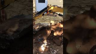 IMG 3793