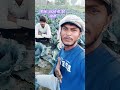 नीला बन्दगोभी #kheti