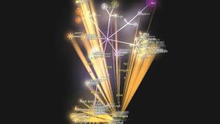 OpenLDAP Development History