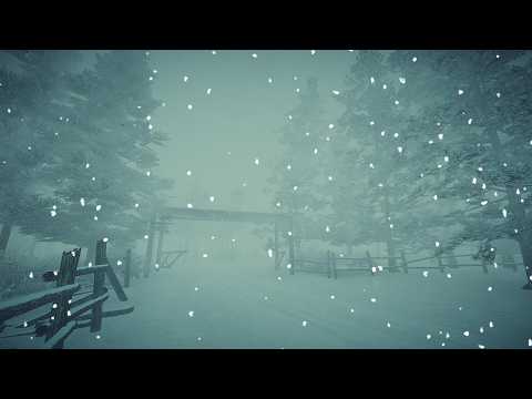 -40° at the ARCTIC STATION | BRUTAL ICE STORM & Howling Polar Winds. Binaural Winter Soundscape 2026