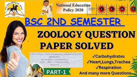 Previous Year Zoology Question Paper🌟| B.Sc 2nd Sem | Possible Questions Discussed😊 #NEP