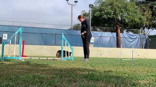 Obstacle focus