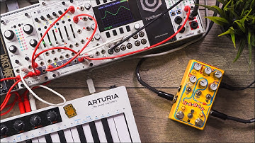 Chase Bliss Habit Overview and Demo with Eurorack and CV Expression