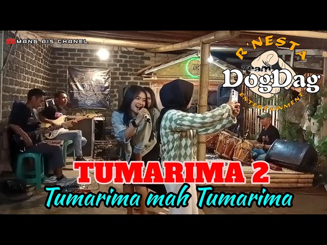 TUMARIMA 2 // Mpit v3 feat Errsa // RNESTA - Team DogDag // Live - Waroeng DK class=