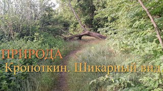 ИДУ домой. Сегодня видимо не РЫБНЫЙ день.НО ЭТО не точно. #лёхабольшой #кропоткин #рыбалка2024 #лес