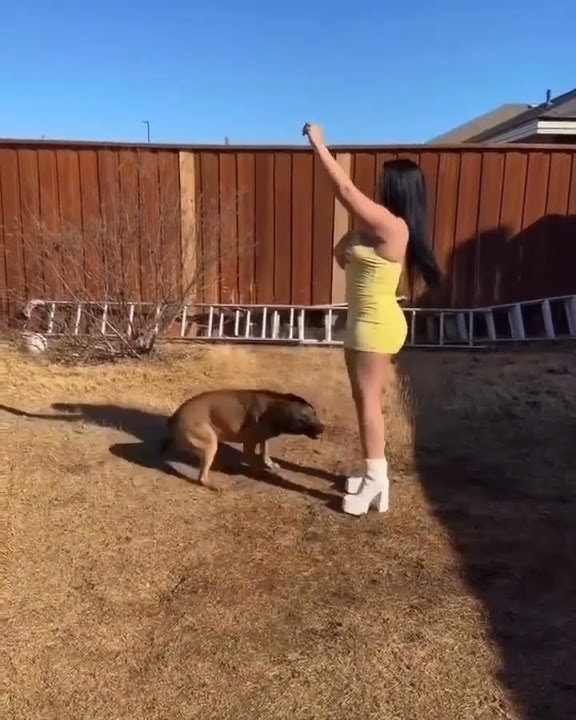 girl playing with a dog #girl #addition #love #sex #nude #bikini #hot #sexy
