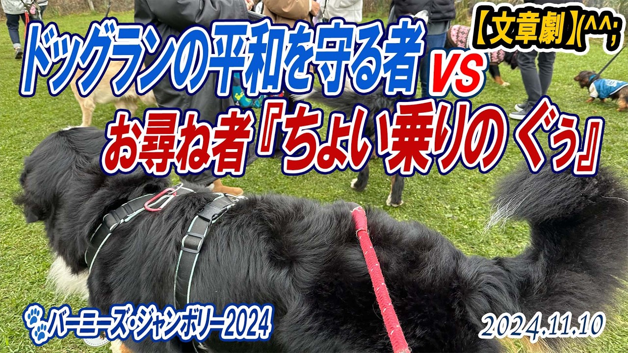 【架空文章劇】ドッグランの平和を守る者vsお尋ね者『ちょい乗りのぐぅ』