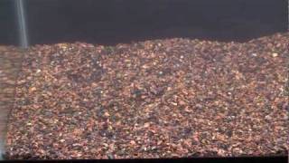 seachem flourite red