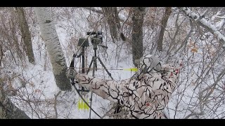 BOWHUNTING AT IT'S BEST!!   10 yards off the ground with a LongBow and Decoys!!