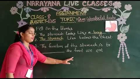 METROS CLASS II EVS ASSIGNMENT KEY DAY 11