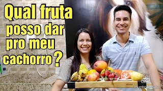 FRUTAS PERMITIDAS PARA CACHORRO