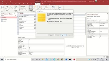 Lookup Fields in Access