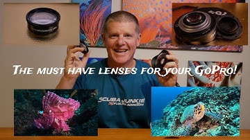 The best wide angle and macro lenses for GoPro underwater