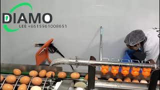 egg breaker machine