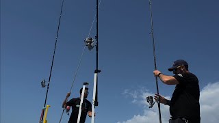 SURFCASTING GRANADA, gran captura con cangrejo,y más, encuentro con suscriptores