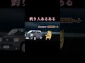 この現象なんなん?#釣り #シーバス #猫ミーム #鳥ミーム #shorts