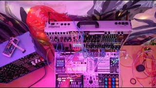 Electronic Music on the Modular Synthesizer with JAde Wii all Night 🤖