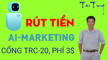 HƯỚNG DẪN CÁCH RÚT TIỀN AI-MARKETING VỀ VÍ VNDC BẰNG CỔNG TRC-20 | PHÍ 3$ CỰC RẺ |