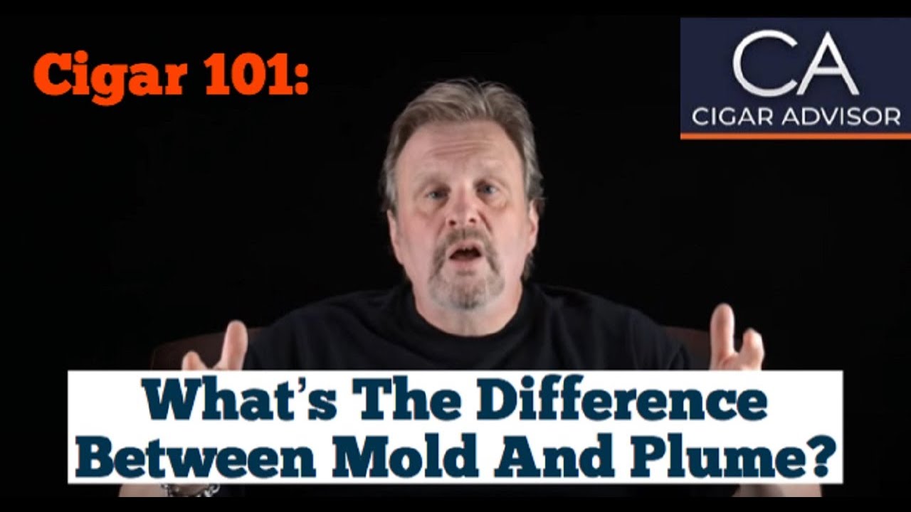 What is the Difference Between Mold and Plume? Cigar 101 YouTube
