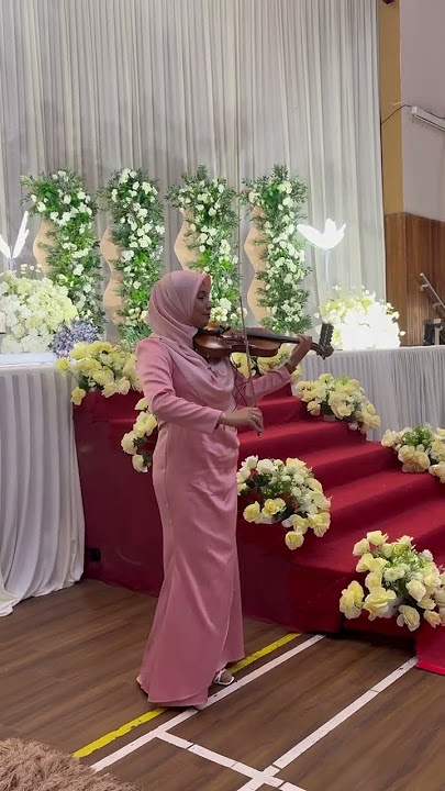 Aladom Violin Cover