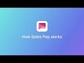 Sales pop by beeketing  how the app works