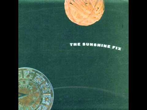 Everything Is Waking Video