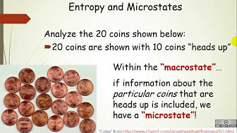 Entropy and Free Energy - YouTube