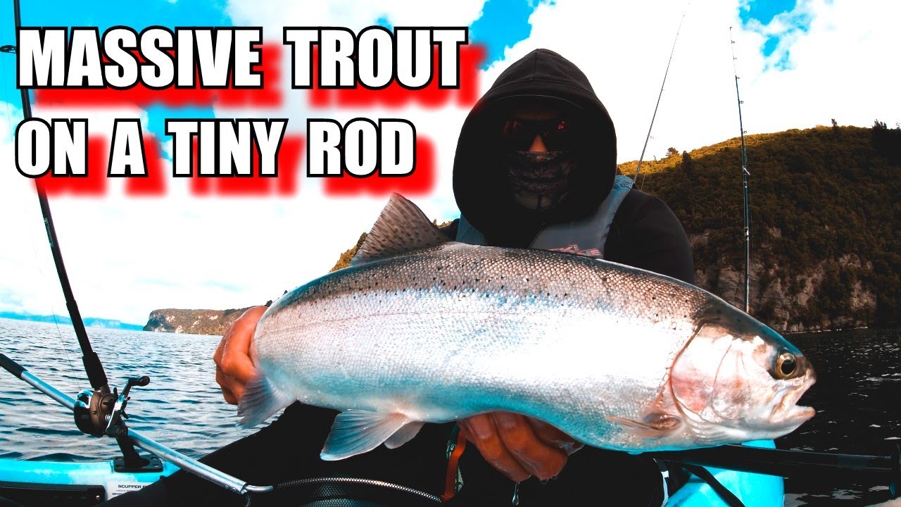 Massive Trout on a Tiny Rod / Trout jigging, Lake Taupo YouTube