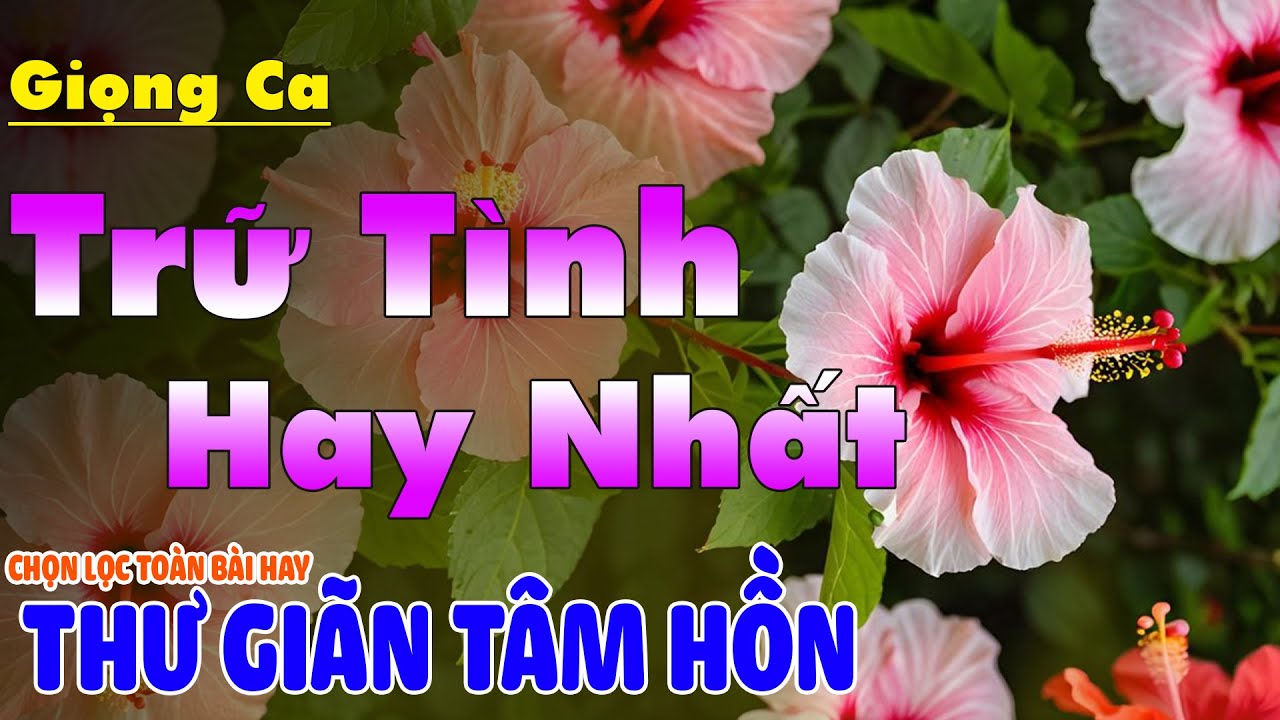 LK Nhạc BOLERO Trữ Tình Hay Nhất Hiện Nay Êm Tai Dễ Ngủ | Nhạc Vàng Xưa Chọn Lọc Đặc Biệt Hay  2026