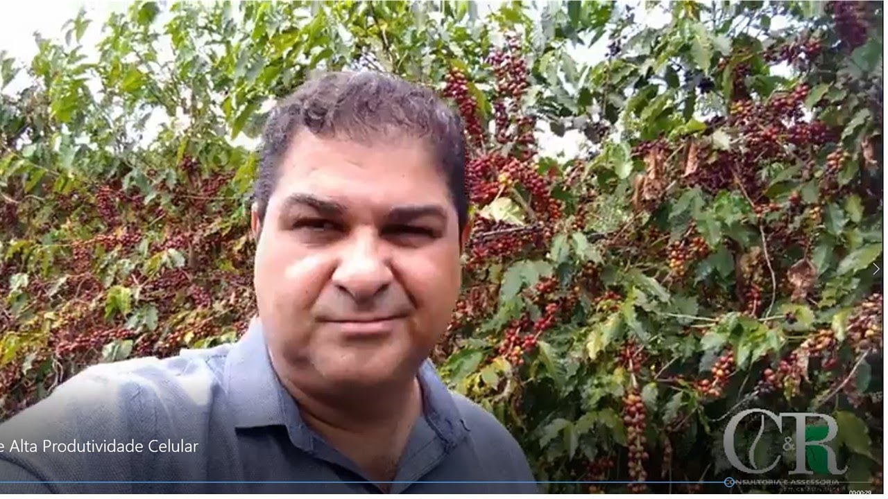 #ALTA PRODUTIVIDADE NO CAFÉ# - C&R Consultoria e Assessoria em Cafeicultura