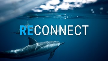 Without Borders - The Caribbean Biological Corridor