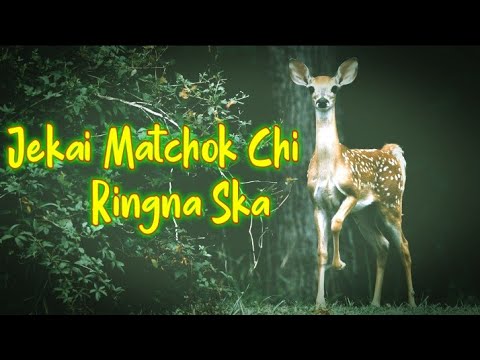 Jekai matchok chi ringna skaAs the DeerCover By Srang MominGaro Gospel SongGM TV Official