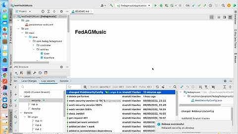 IntelliJ IDEA rebase branch from develop to security
