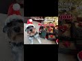 Need gift ideas?  #angelbdesigns4you - Shop link in description