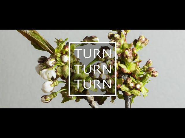 Lorie WIlliams - Turn Turn Turn