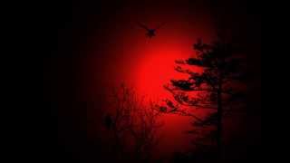 Total Eclipse - Waiting For A New Life