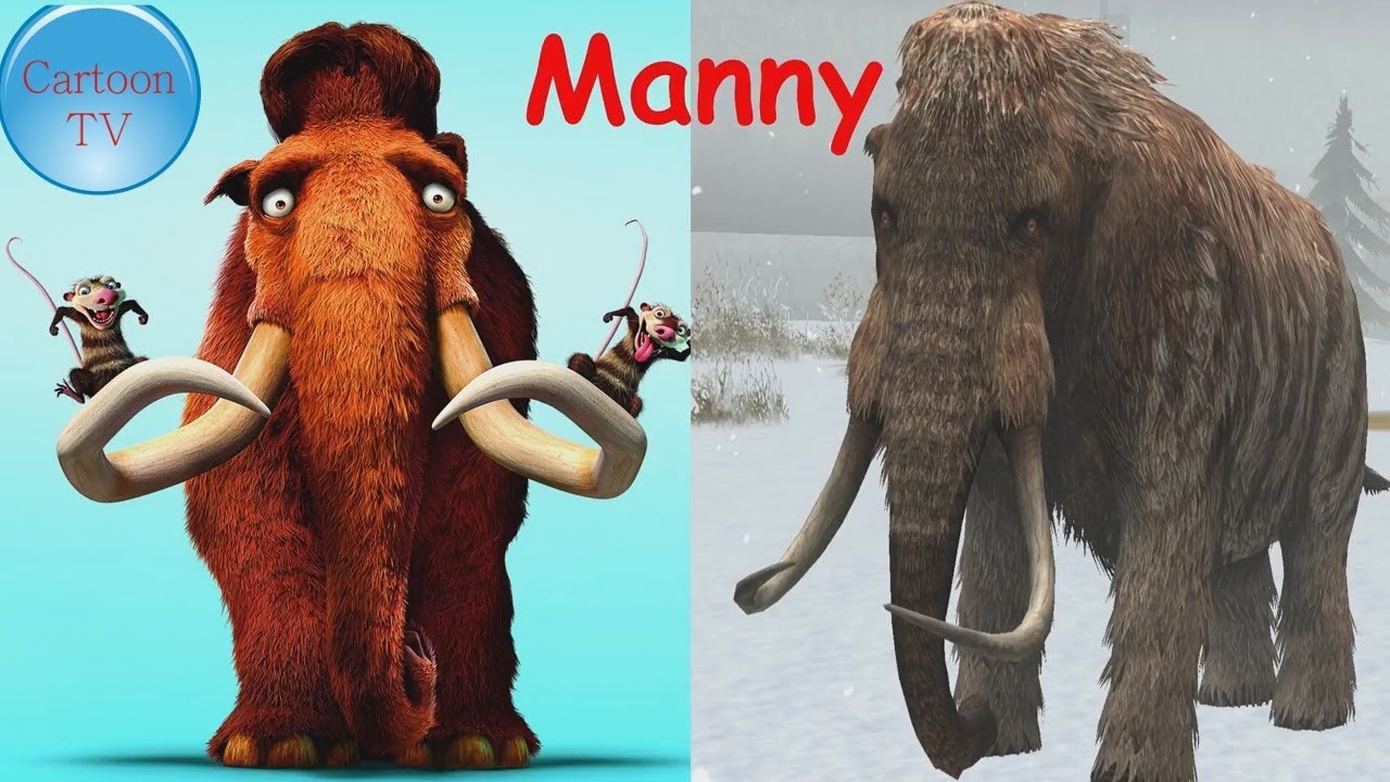 Madagascar In Real Life Ice Age In Real Life 2018 2 YouTube