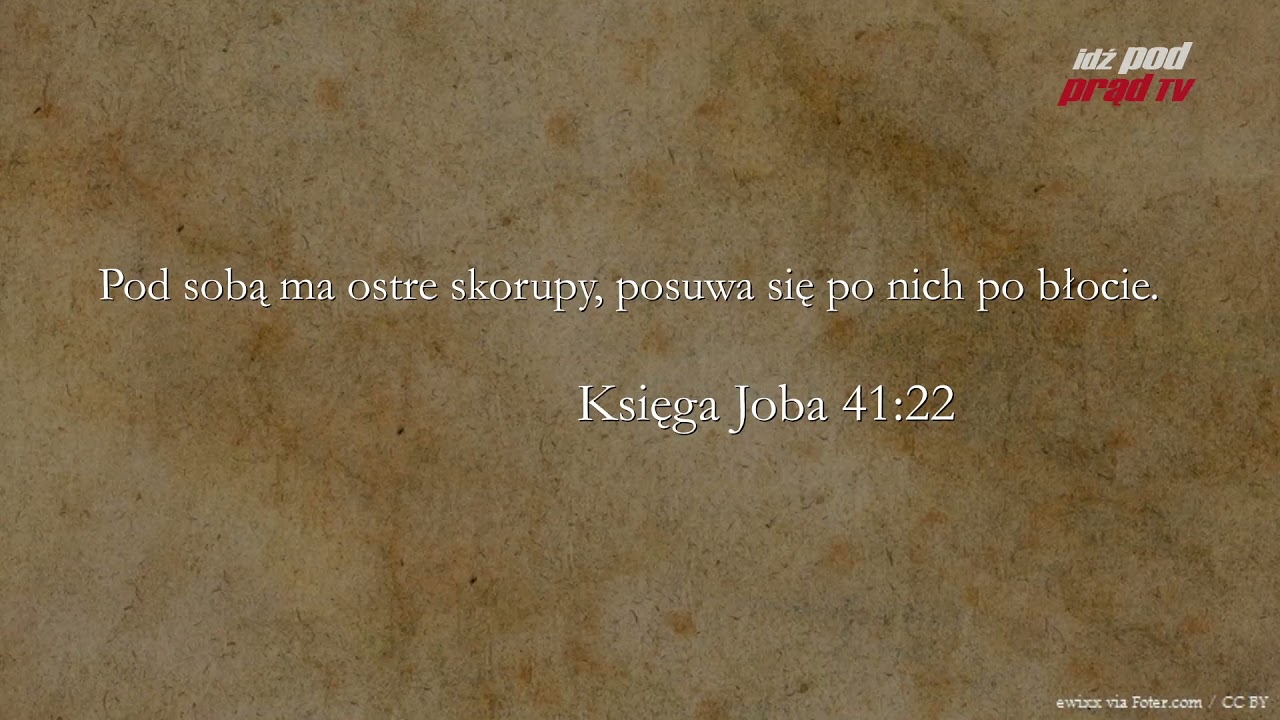 BIBLIA NA CO DZIEŃ: Księga Joba#41 cz. 2 episode artwork