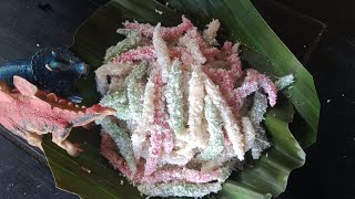 Cenil Kanji Kue Tradisional Bikinnya Gampang Banget