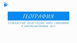 8 класс - География - Разнообразие лесов России: тайга, смешанные и широколиственные леса