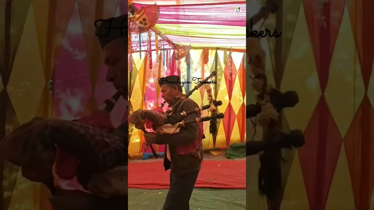 phadi पैंपर baja dhun ❤️