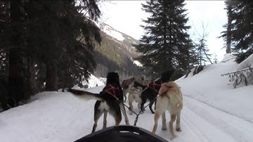 CSWI Level 2 2014 Trailer