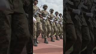 Raayyaa Ittisa biyyaa Birmadummaa Itoophiyaa eegsisuuf wareegama kamuu kanfaluuf qophii qabu